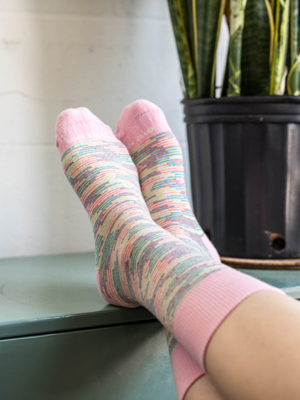 The Riley - Blush - Sock Club Store