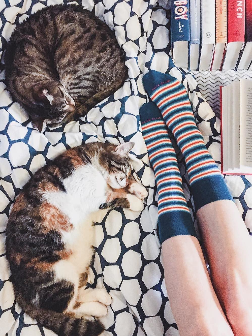 The Sergio - Lagoon - Sock Club Store