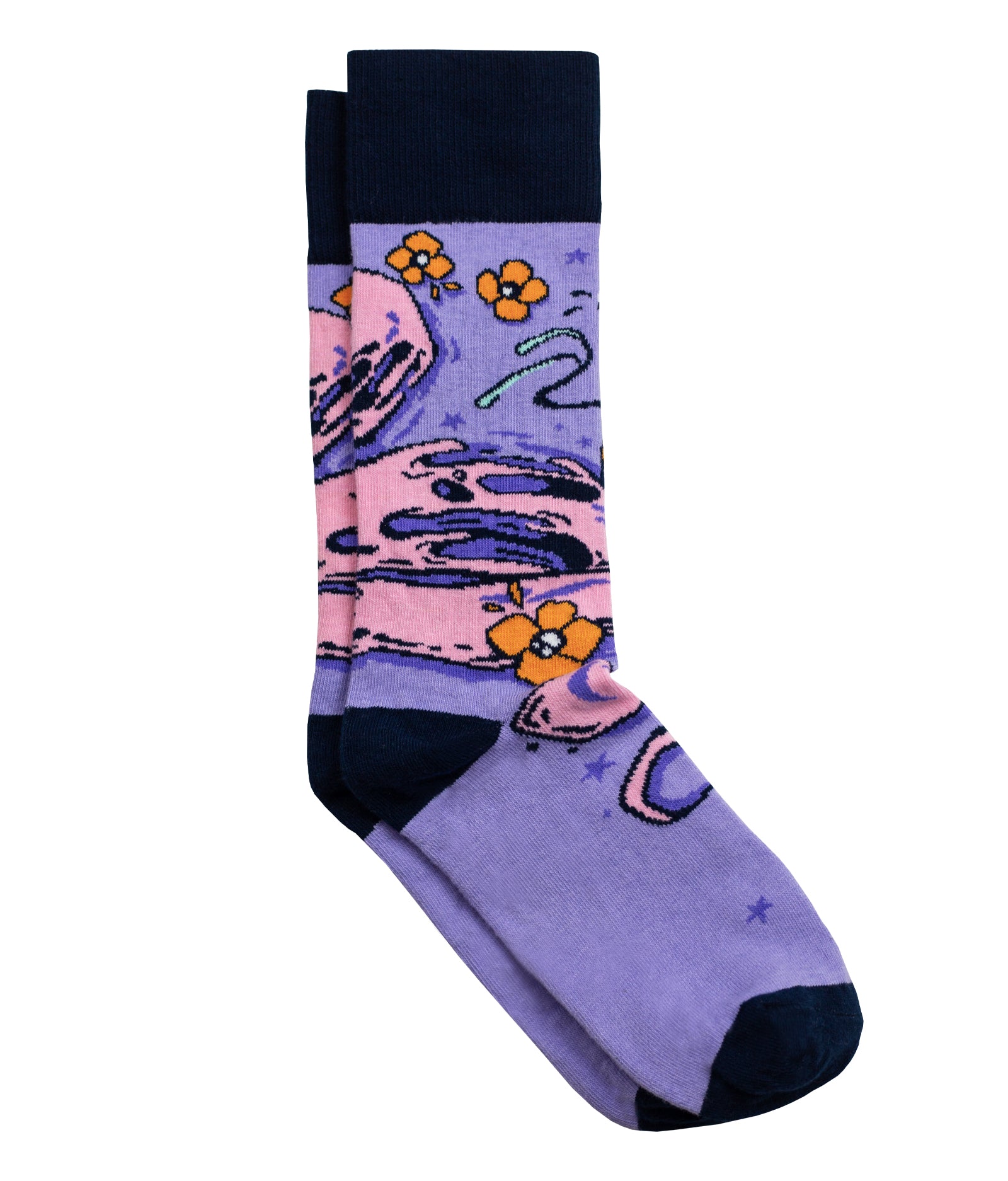 The Fish Sock - Limited Edition Artist Collaboration – Sock Club Store